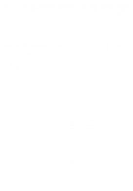 Принт Чоловіча футболка Stedman Triangles, Фото № 2 - FATLINE