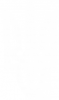 Премиум кепка Coat of arms of Ukraine torn inside 2