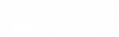 Женская футболка Alcoholica 2