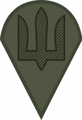 Свитшот унисекс TM Gildan Шеврон ДШВ 2