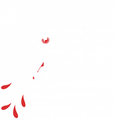 Чохол з розділу 7 смертних гріхів Смертний гріх Гнів для Oppo K9 2