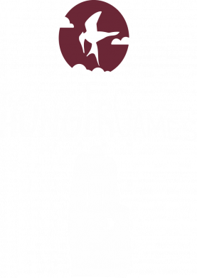 Футболка поло мужская Голодные Игры 2