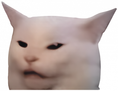 Рушник 70х140 см Мем спантеличений кіт 2