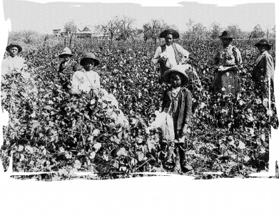 Принт Женская футболка 100% Cotton, Фото № 2 - FATLINE