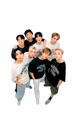 Чехол из раздела Stray Kids Постер Stray Kids для Apple iPhone 14 Pro 2
