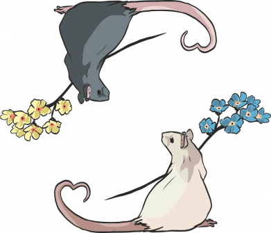 Худи оверсайз Влюбленные крысы 2