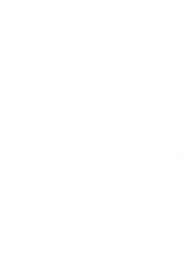 Принт Чехол для iPhone XR Renault 1972 Logo, Фото № 2 - FATLINE