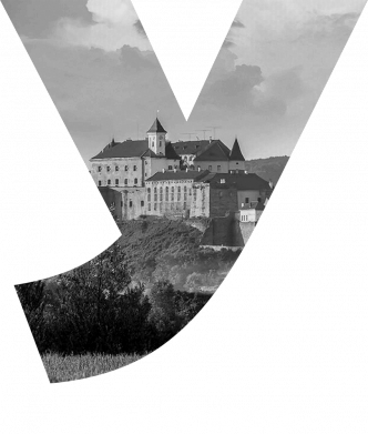 Чохол з розділу Ужгород Uzhhorod Black & White для Xiaomi Redmi Note 9S/9Pro/9Pro Max 2