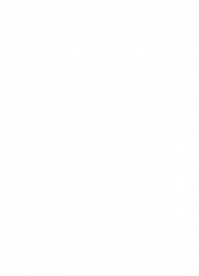 Жіноча футболка Vi et armis 2