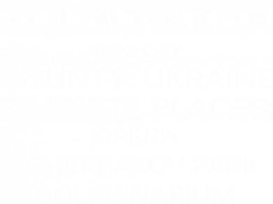 Принт Мужская футболка Stedman Город Герой Волноваха, Фото № 2 - FATLINE
