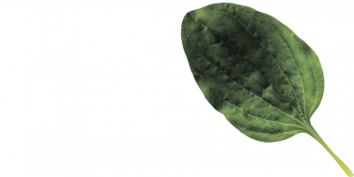 Штаны Живи, за*бал 2