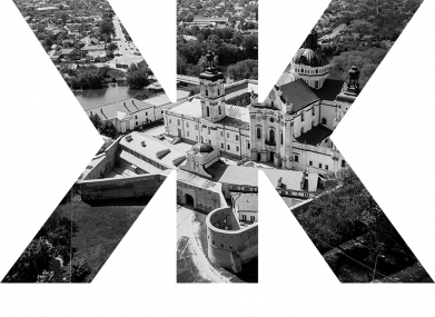 Принт Худи для собаки Zhytomyr Black & White, Фото № 2 - FATLINE