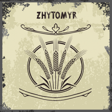 Детская худи Житомир Old School 2