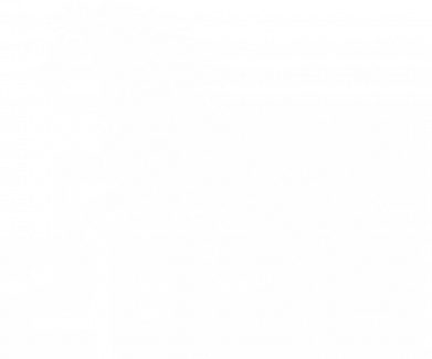 Принт Чоловіча футболка Stedman 2026 Рік Коня, Фото № 2 - FATLINE