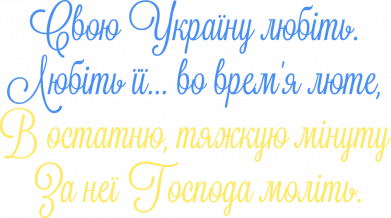 Чоловіча худі на блискавці Свою Україну любіть! 2