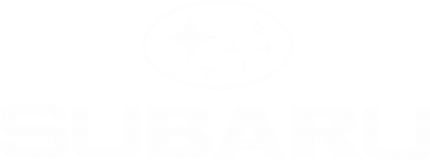 Термос для еды Subaru 2