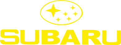 Чехол из раздела Subaru Subaru для Realme C11 2