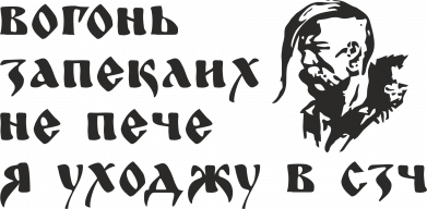 Мужская футболка Stedman Вогонь запеклих не пече, я уходжу в СЗЧ 2
