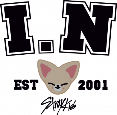 Шеврон прямоугольный I.N. stray kids 2