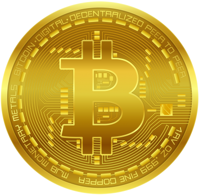 Принт Мужская футболка Stedman Bitcoin coin, Фото № 2 - FATLINE