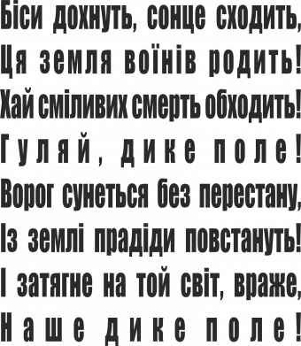 Шеврон прямоугольный Дике поле 2