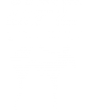 Шеврон прямокутний Ultimate Fighting Championship 2
