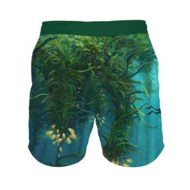 3D шорты мужские для плавания Underwater Subnautica 2
