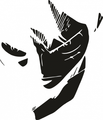 Металлическая табличка Monkey Dee Luffy 2