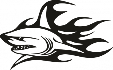Flaming shark