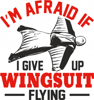 Кружка 320ml Wingsuit Flying 2