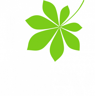 Чехол из раздела Міста України Киев. Каштан. для Samsung S24 2