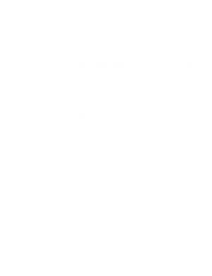 Шеврон круглый Альянс 2