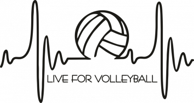 Принт Чехол для Samsung Note 10 LIVE FOR VOLLEYBALL, Фото № 2 - FATLINE