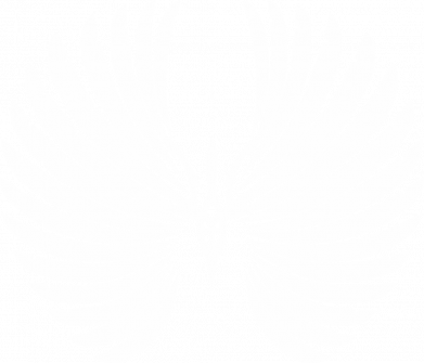 Чехол из раздела Герб України Крылатый герб для Apple iPhone 13 2