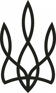 Футболка дитяча оверсайз FATLINE Тризуб 2