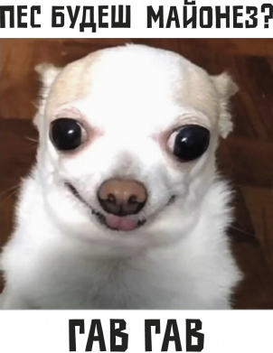 Блокнот А5 Пес ГАВ ГАВ 2