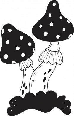 Бутылка для воды Волшебный магические грибы мухоморы 2