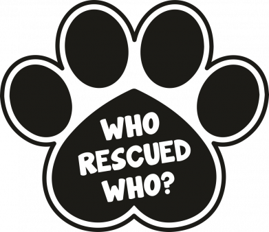 Футболка оверсайз FATLINE WHO RESCUED WHO? 2