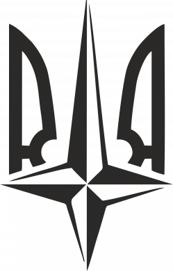 Футболка оверсайз FATLINE Нато в хату 2