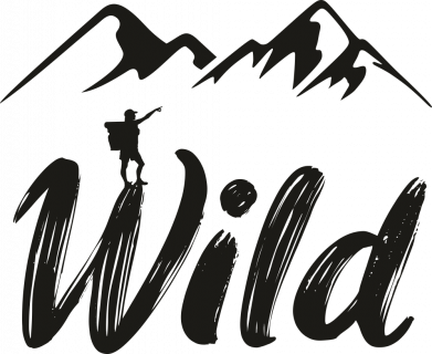 Термобутылка Viano Wild 2
