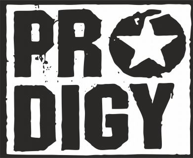 Кружка 320ml Prodigy Star 2