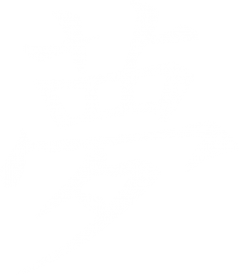 Мужская футболка Stedman Мечта 2