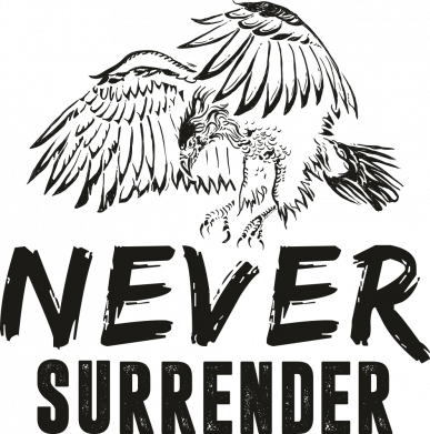 Принт Блокнот А5 Never surrender, Фото № 2 - FATLINE