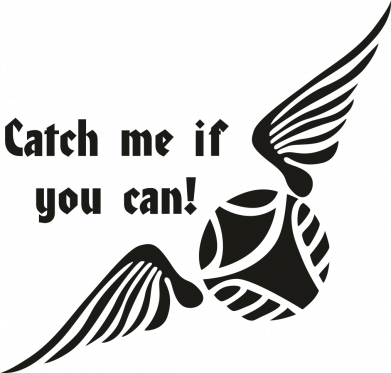 Catch me if you can!