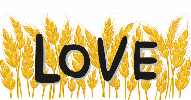 Любов і колосся