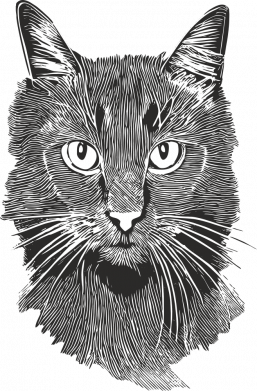 Магический Кот