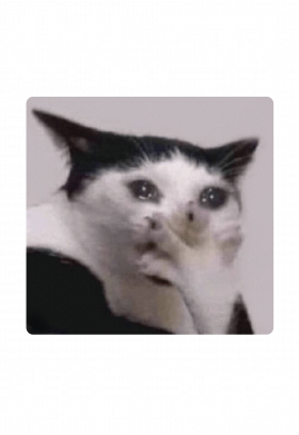 Ланч бокс Leo Смерть Катам 2