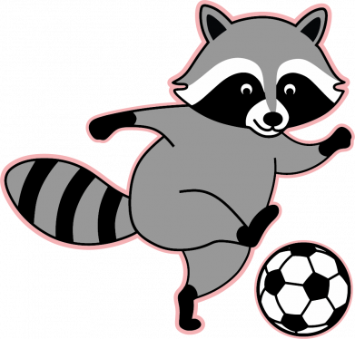 Енот-футболист: вот это гол!