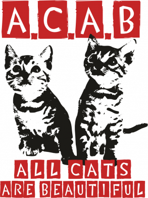 All cats are beautiful