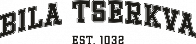 Мужская футболка Gildan Bila Tserkva 2